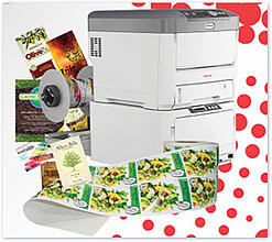Intec 850