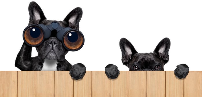 Olhos_Postos_na_CL-S6621