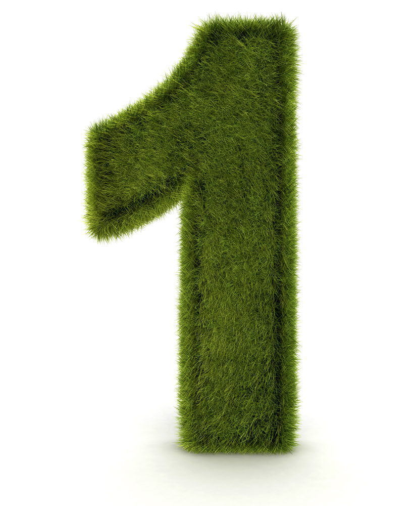 Number one in 3D and grass texture - isolated over white